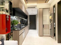 Irwell Hill Residences (D9), Apartment #496345111